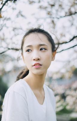 爽剧全部免费观看